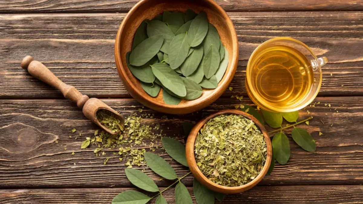 Moringa Tea Benefits