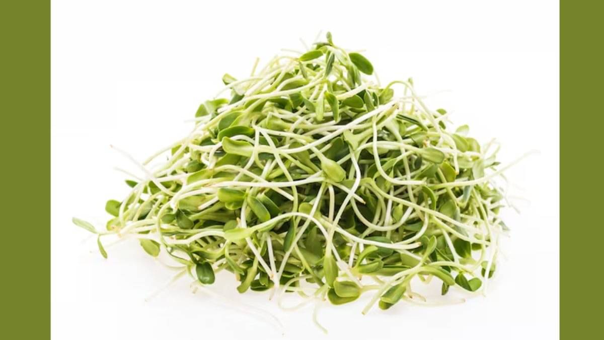 Description of the pic