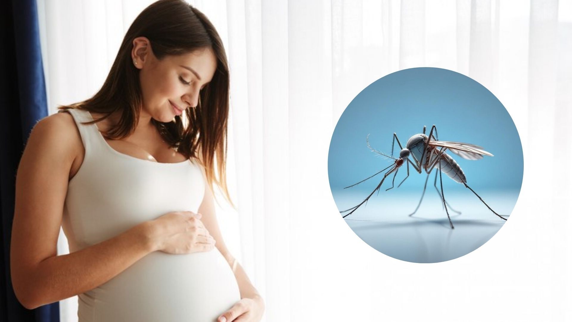 Mosquito Bite In Pregnancy