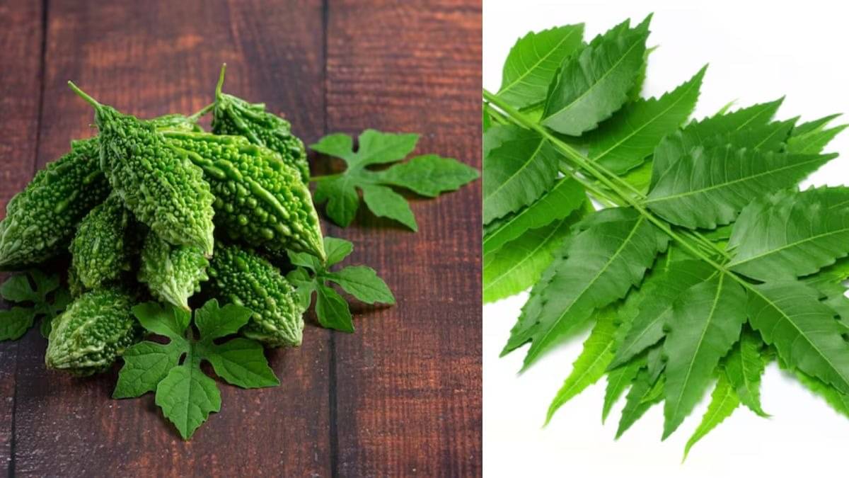 Description of the pic