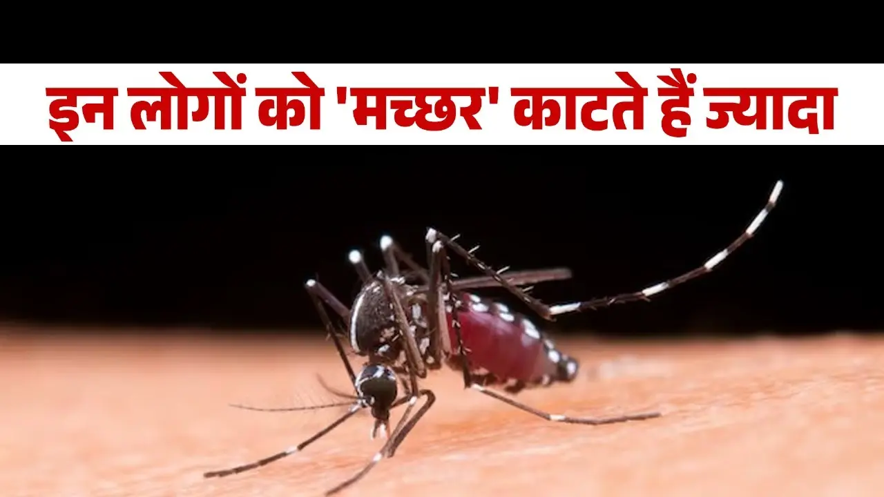 Mosquitoes Like Certain Blood Types