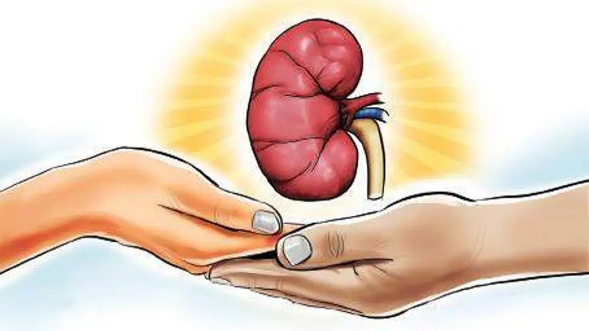 Mother Donates Liver Kidney