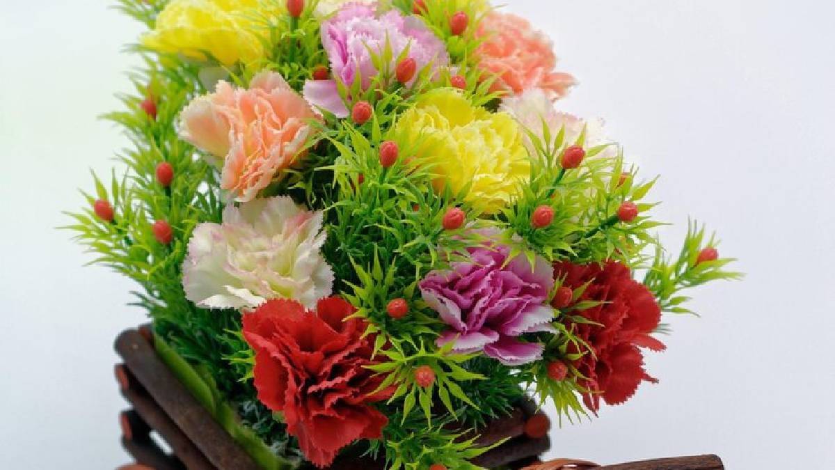 Description of the pic