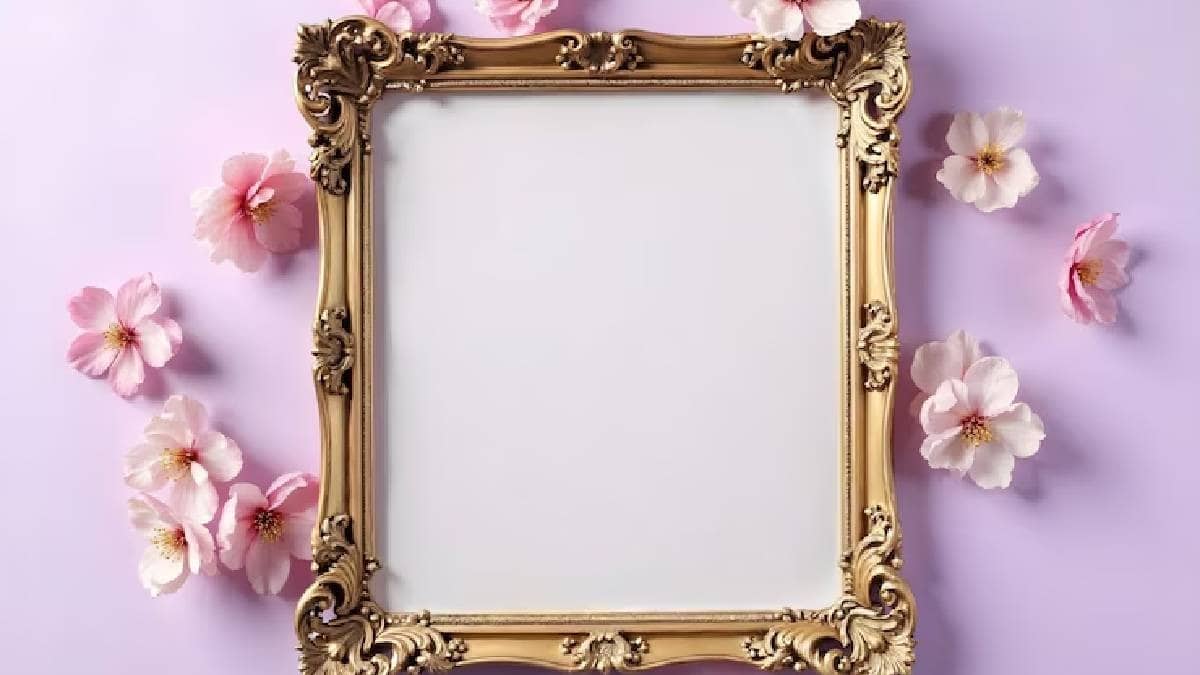 Description of the pic