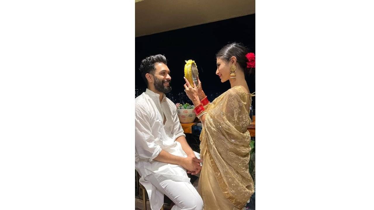 Description of the pic