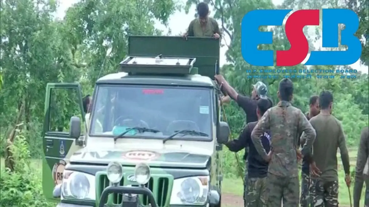 Sarkari Naukri 2026: इस राज्य में 10वीं पास के लिए नौकरी का मौका, वन रक्षक के 728 पदों निकली सीधी भर्ती, 62000 तक सैलरी MPESB Van Rakshak Bharti 2026