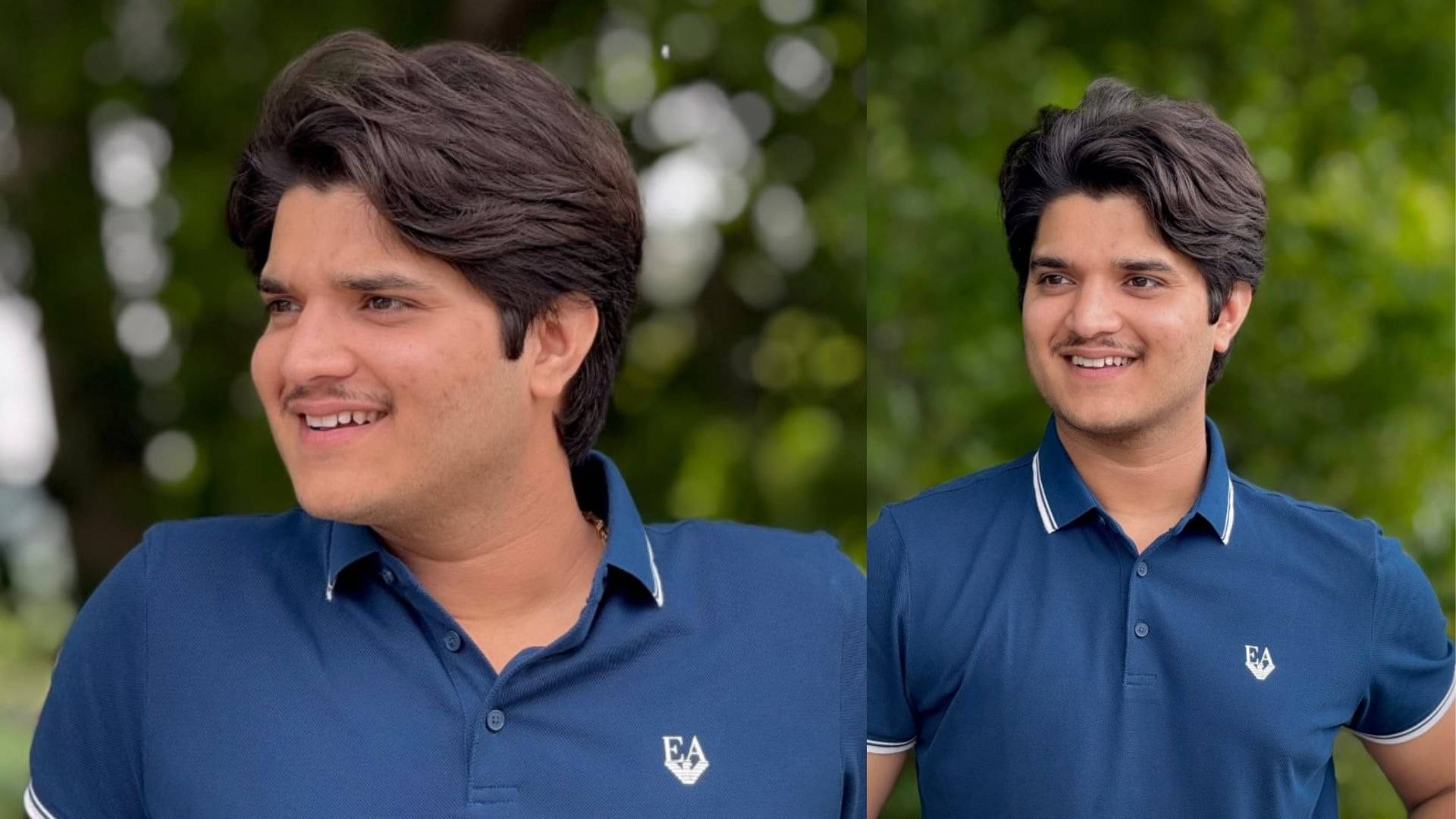 Description of the pic