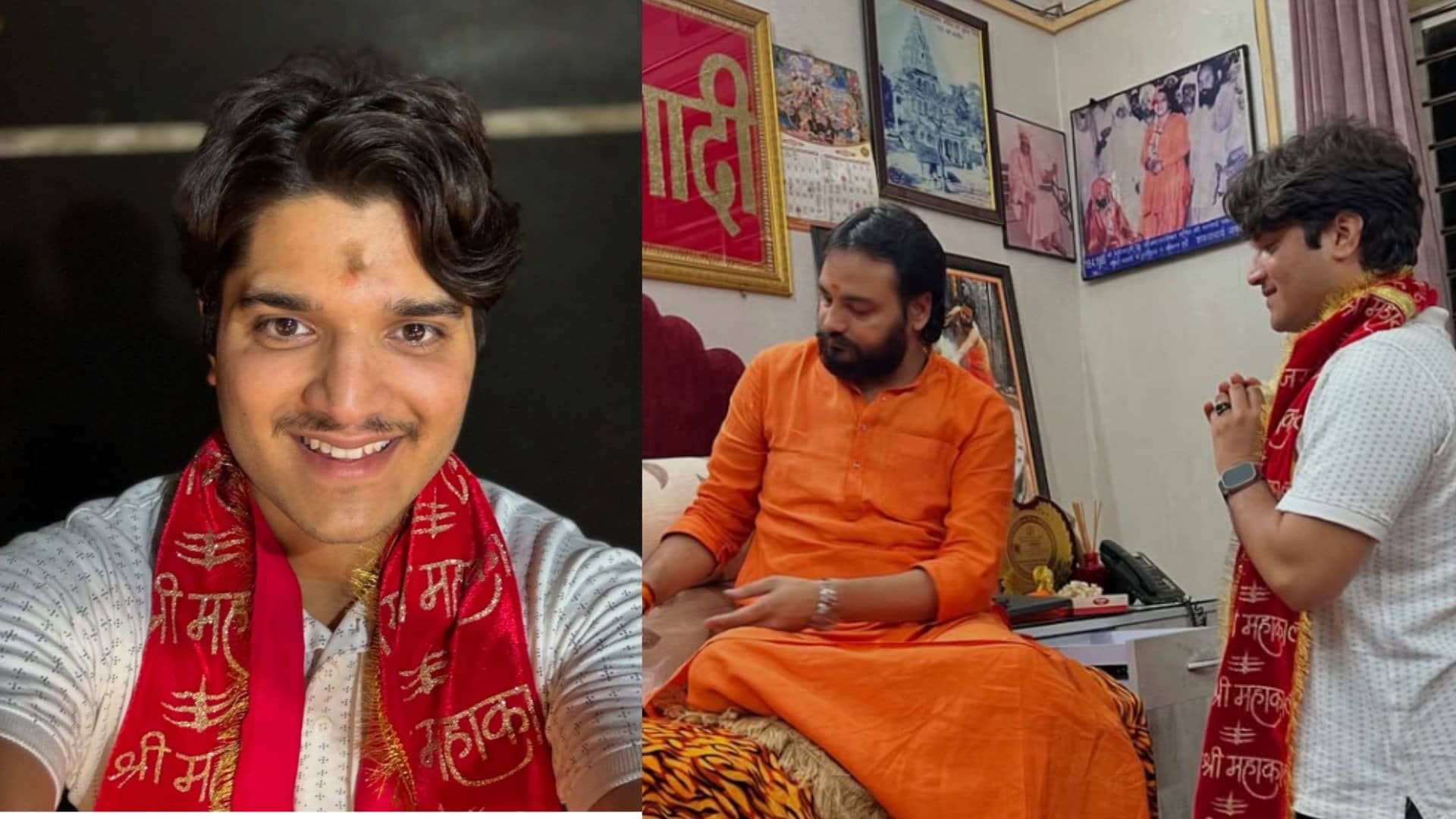 Description of the pic