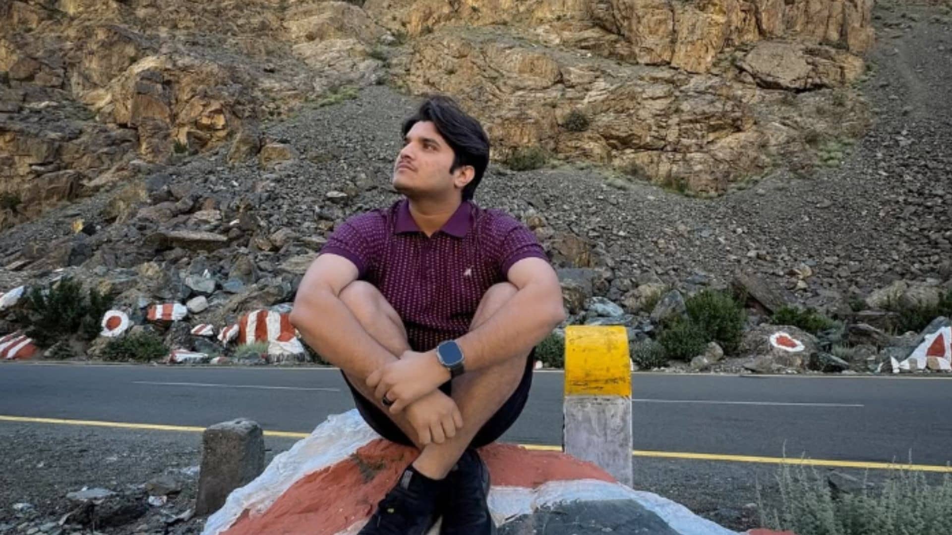 Description of the pic