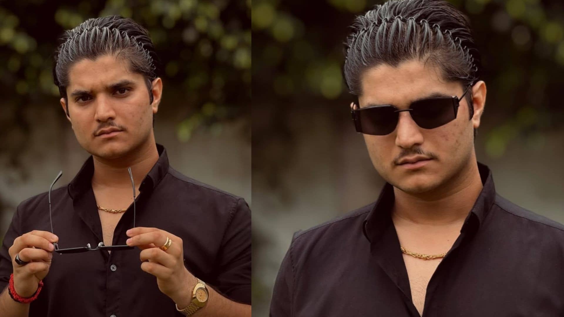 Description of the pic