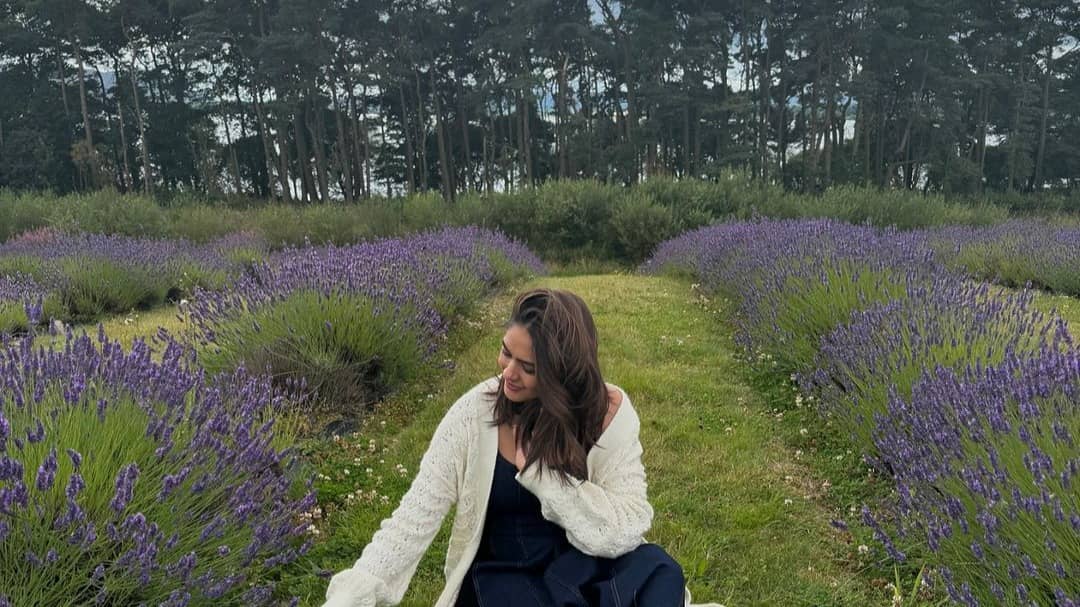 Description of the pic