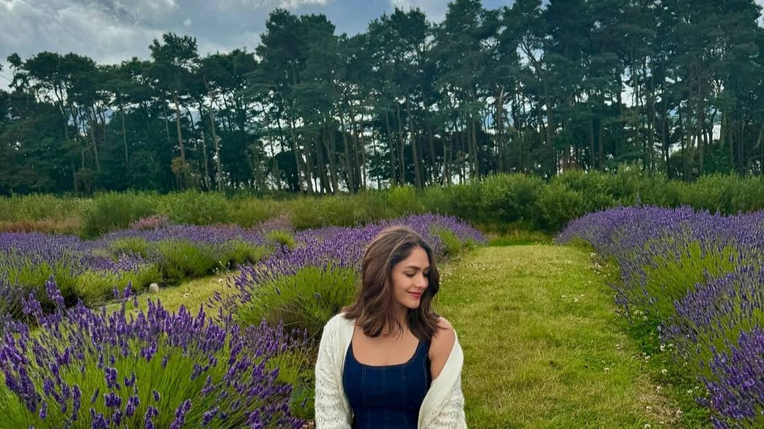 Description of the pic