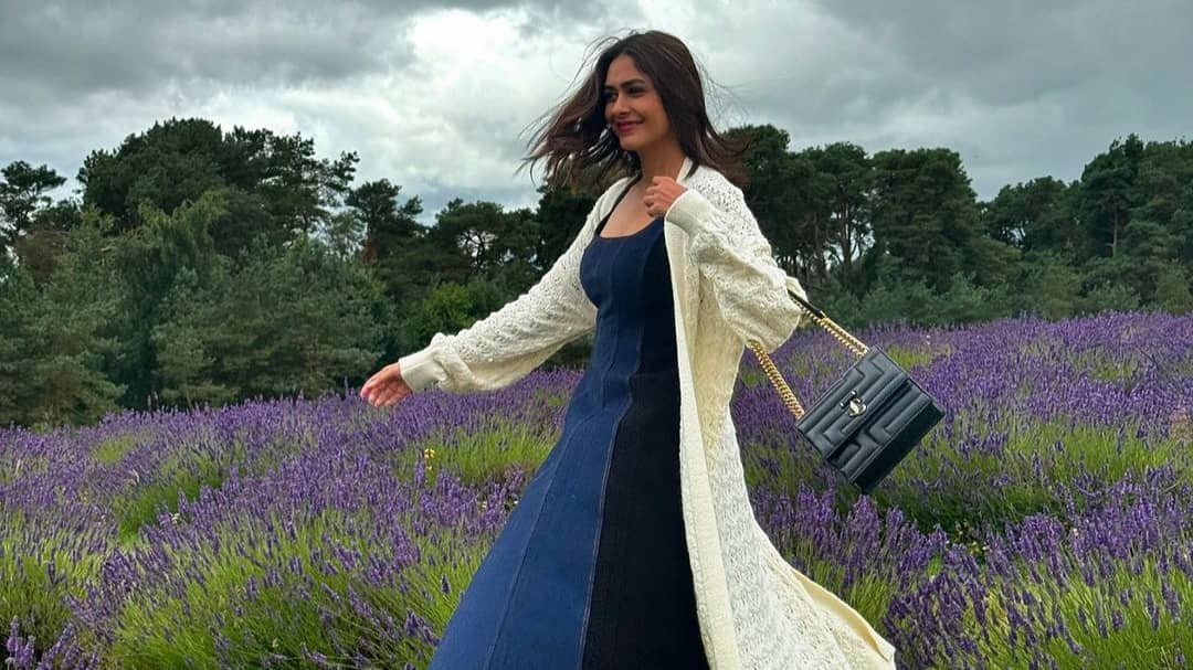 Description of the pic