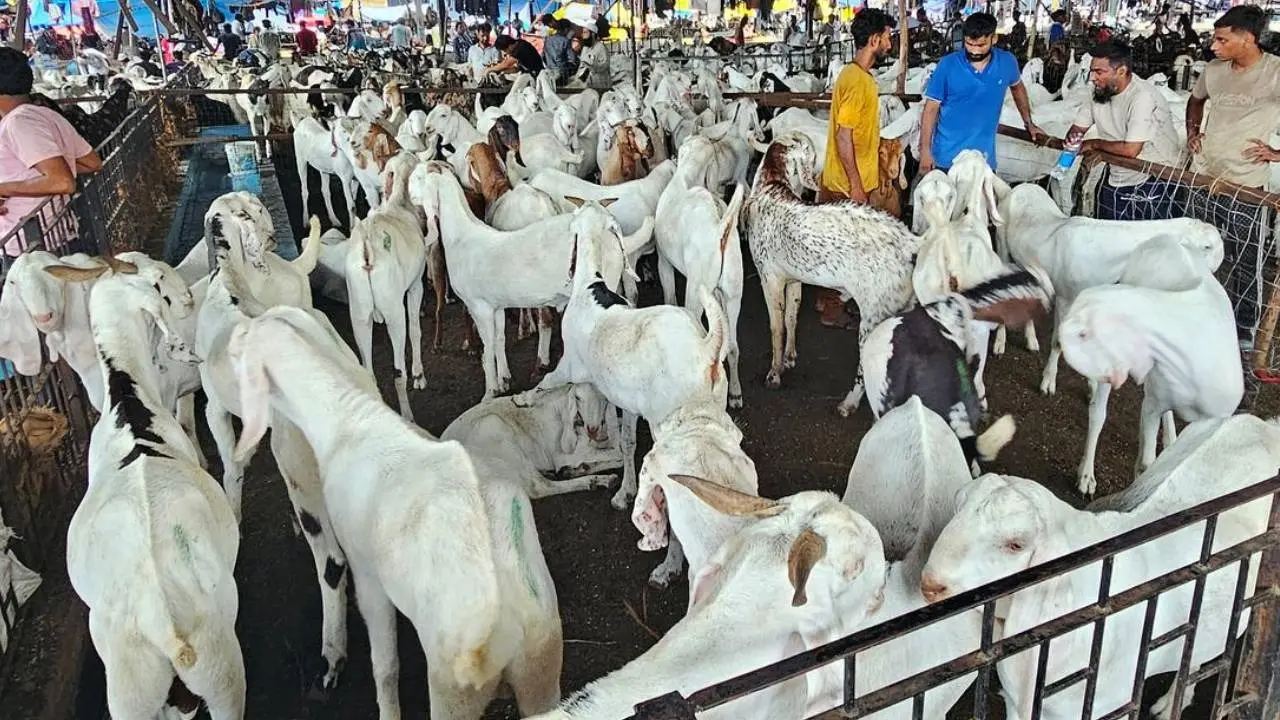 Delhi governments advisory on Bakrid