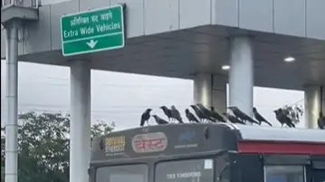 This Version of 'Urvasi Urvasi' From Mumbai BEST Bus Winning Hearts of Netizens | WATCH Mumbai crows viral video