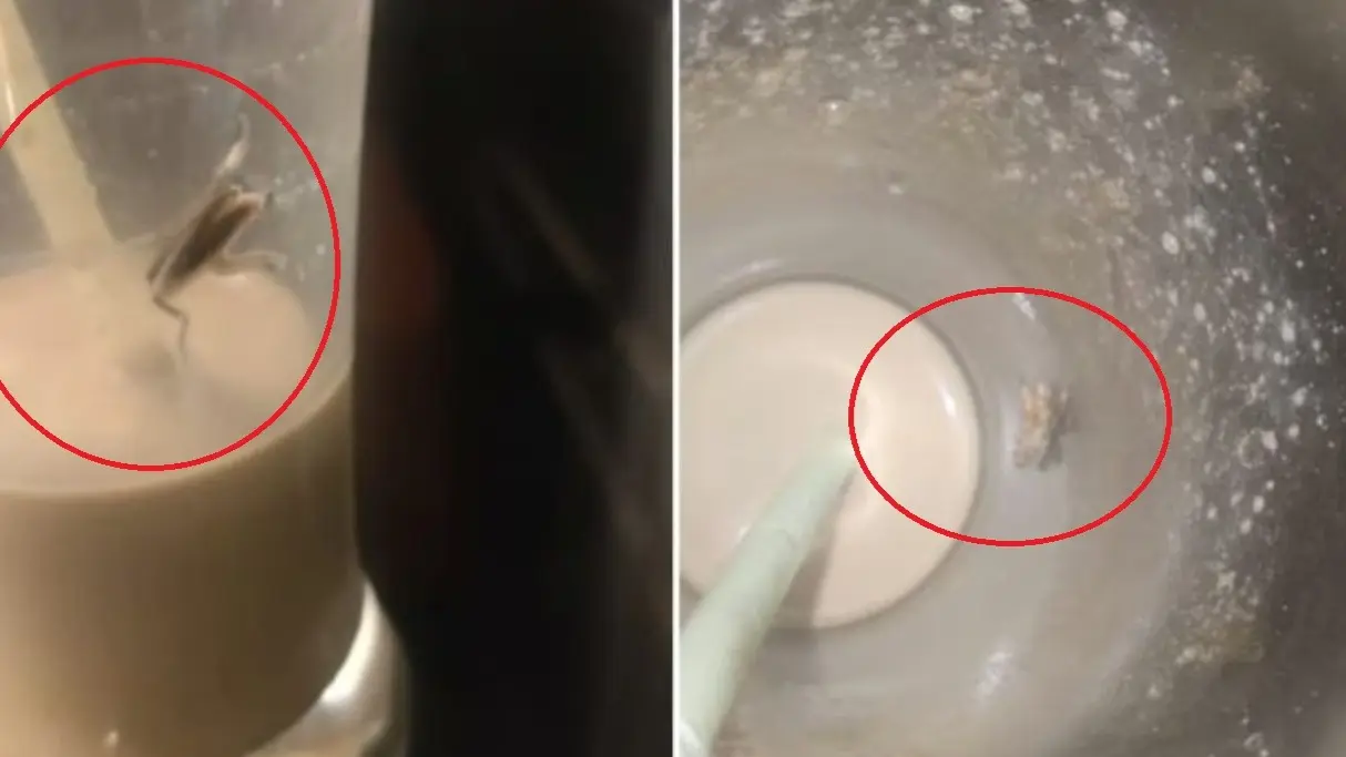 Mumbai Man Finds Cockroach in Cold Coffee at Malad Lounge | Here's What Happened Next Mumbai Man Finds Cockroach in Cold Coffee at Malad Lounge