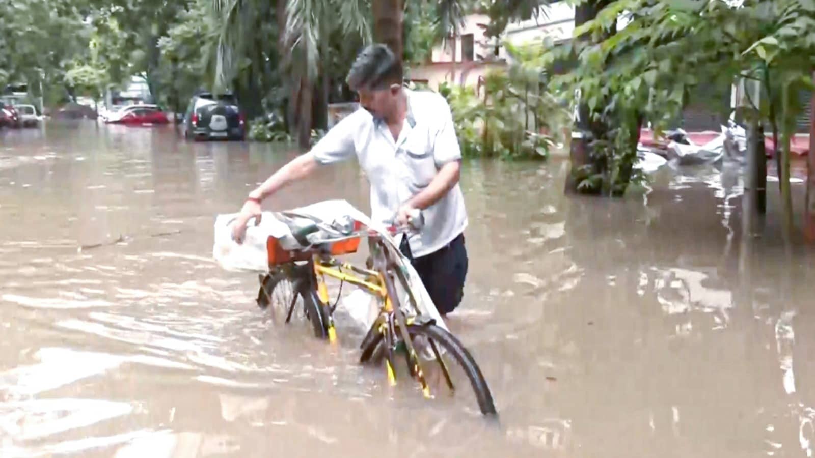 Description of the pic