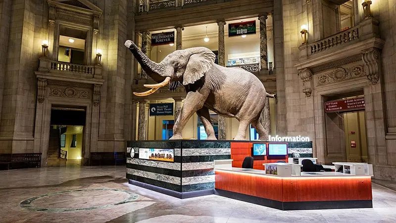 Here's the top 10 museums in Delhi