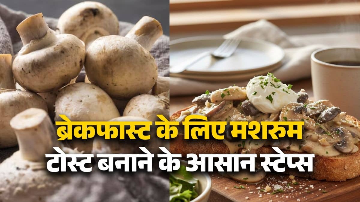 mushroom-toast-healthy-creamy-breakfast-recipe-in-10-minutes-easy-steps-for-quick-morning-meal