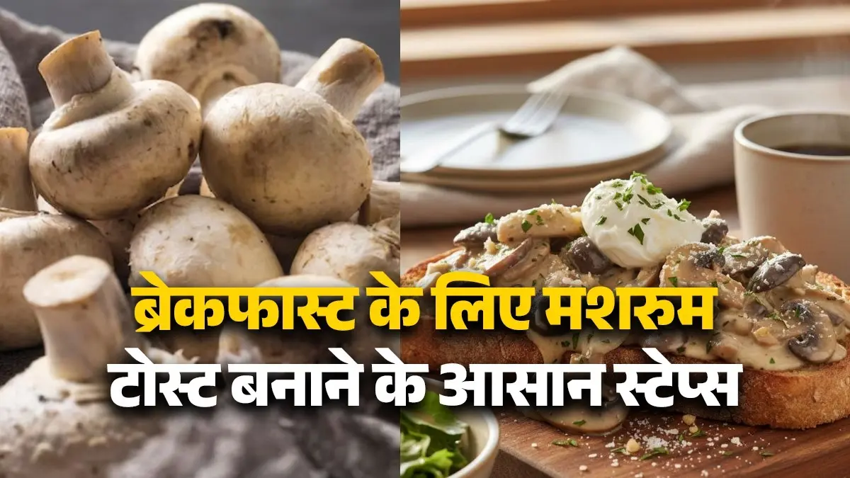mushroom-toast-healthy-creamy-breakfast-recipe-in-10-minutes-easy-steps-for-quick-morning-meal