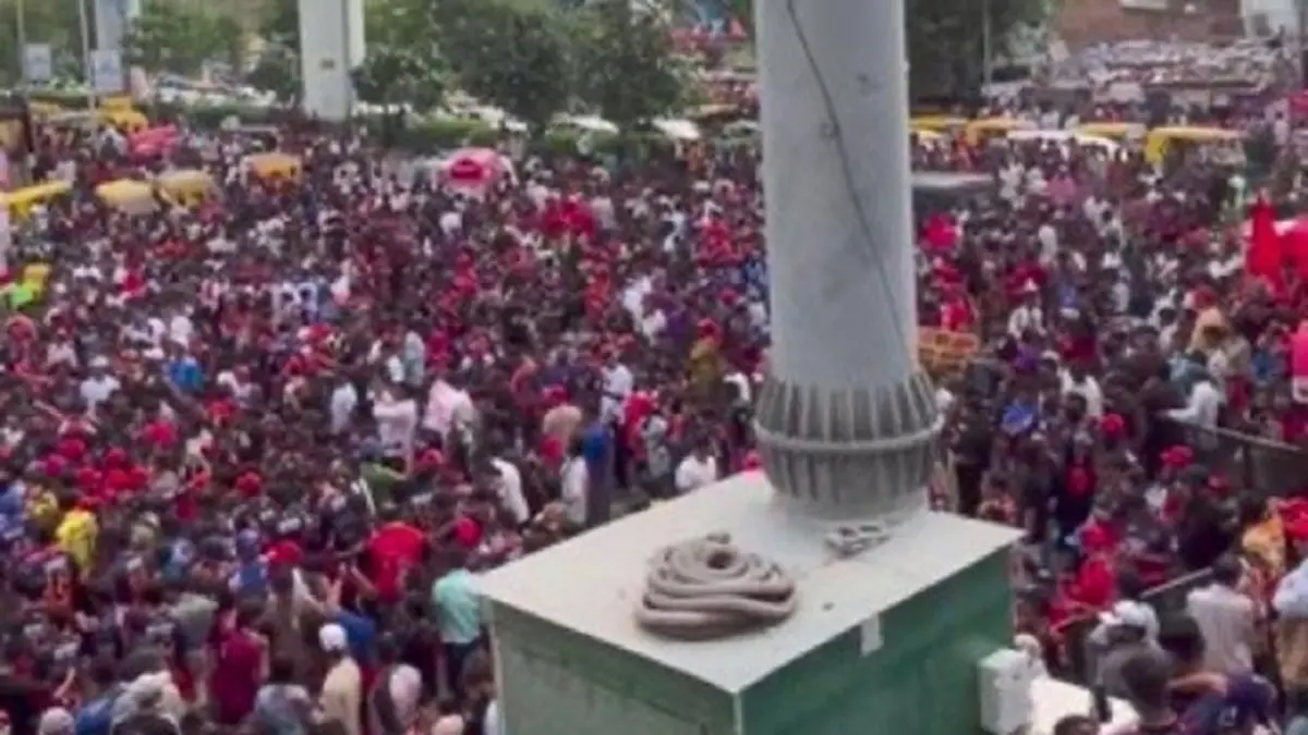 ‘Red Sea’: RCB Fans Flood Narendra Modi Stadium Ahead of IPL 2025 Final Narendra Modi Stadium
