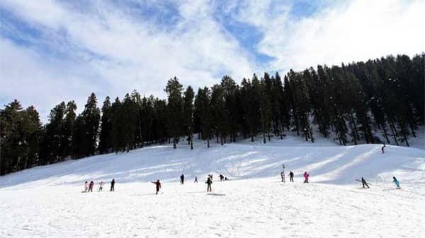 Description of the pic