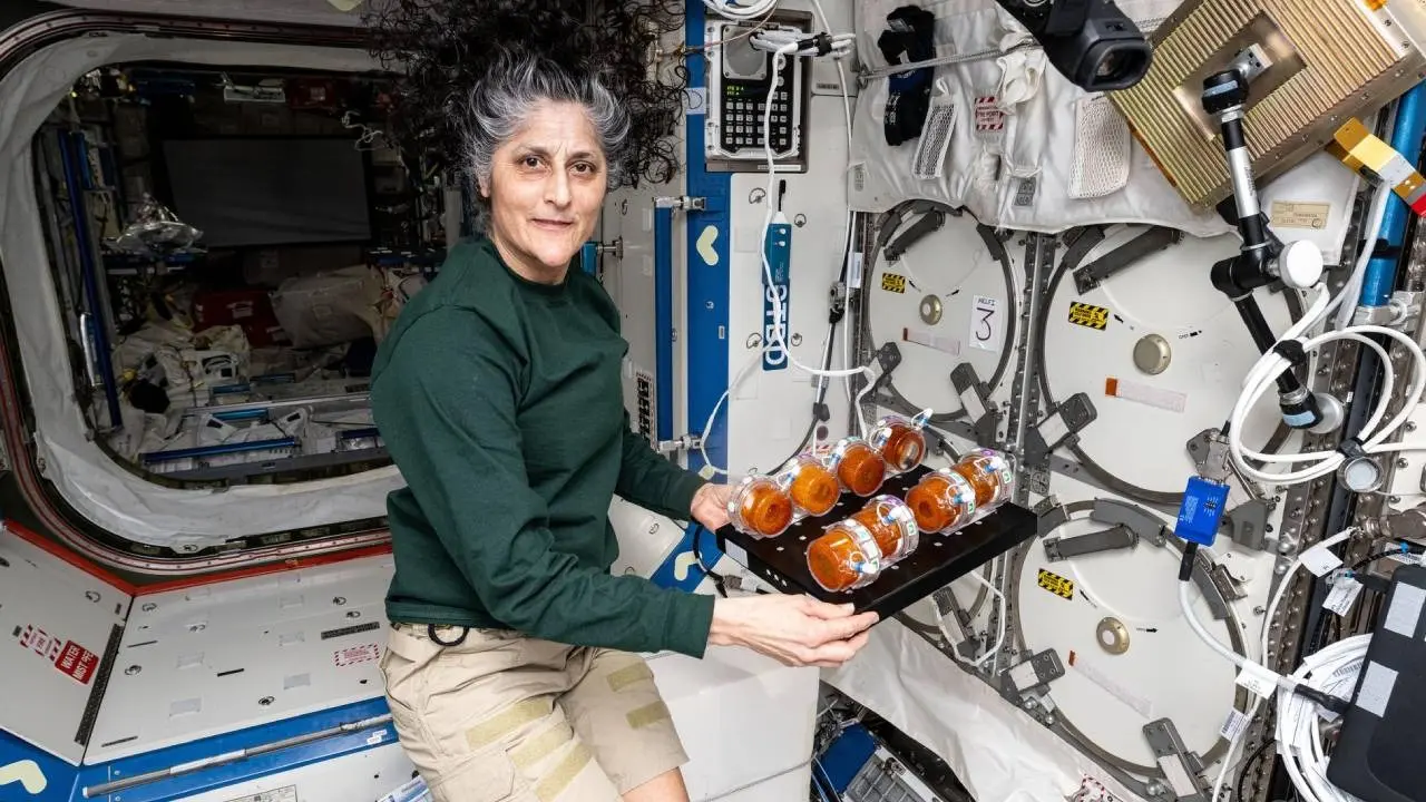 NASA astronaut Sunita Williams
