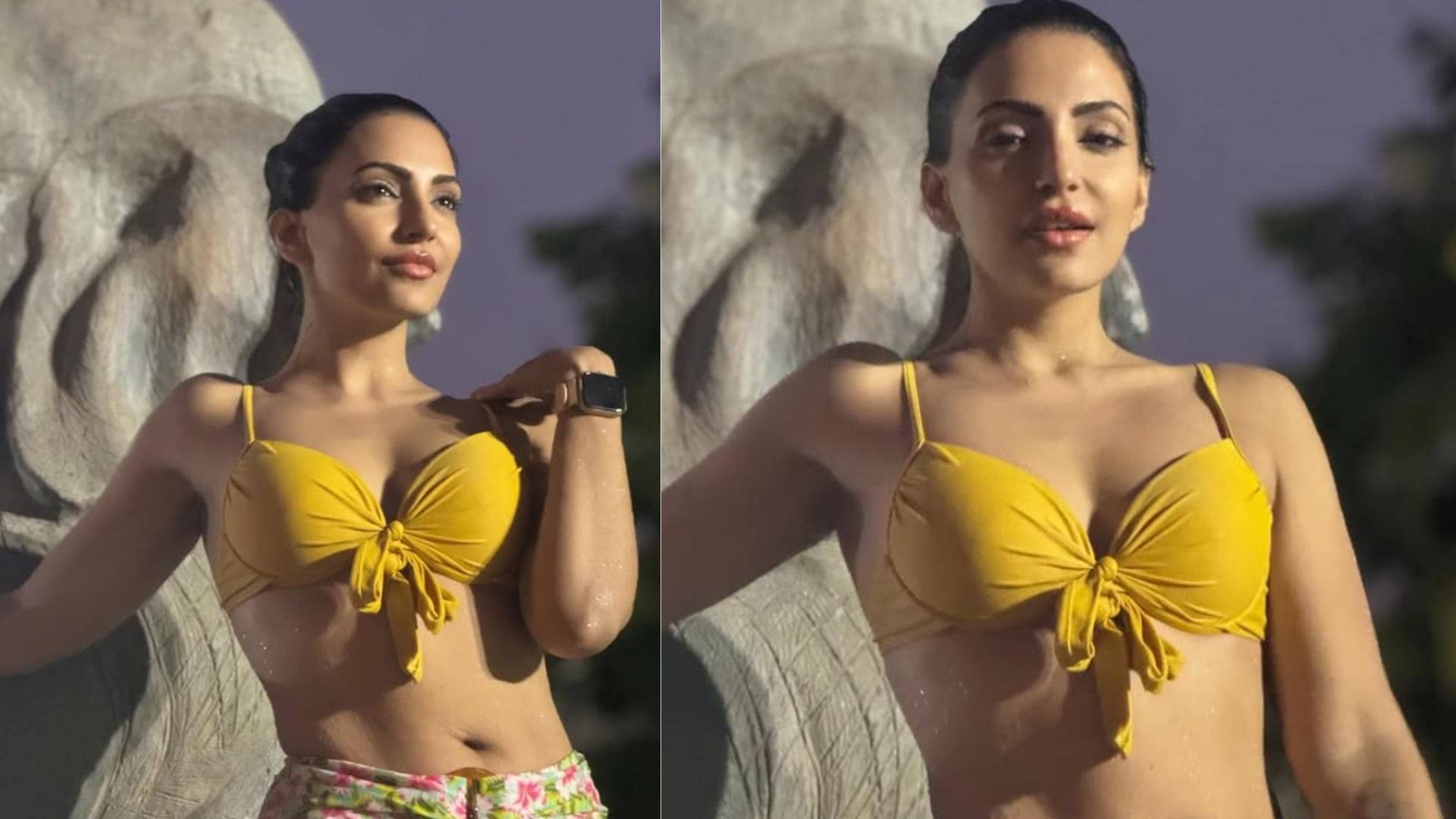 Description of the pic