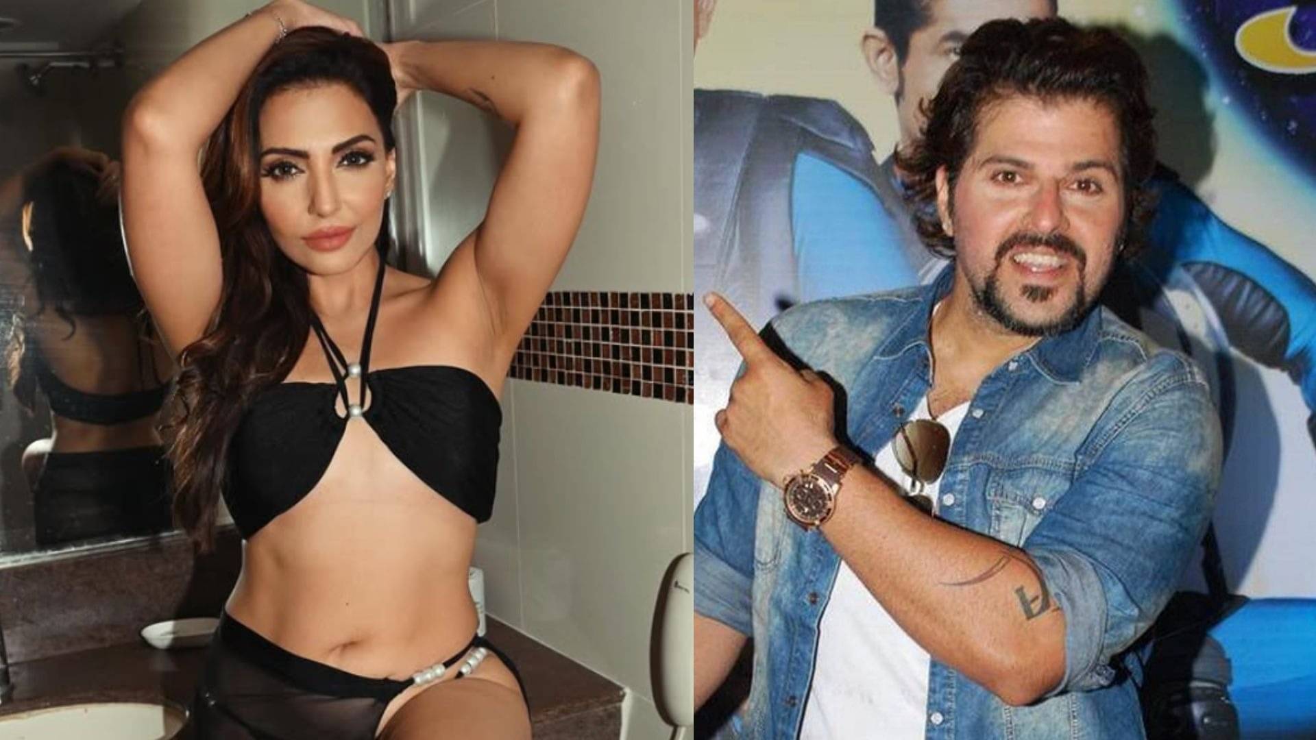 Description of the pic