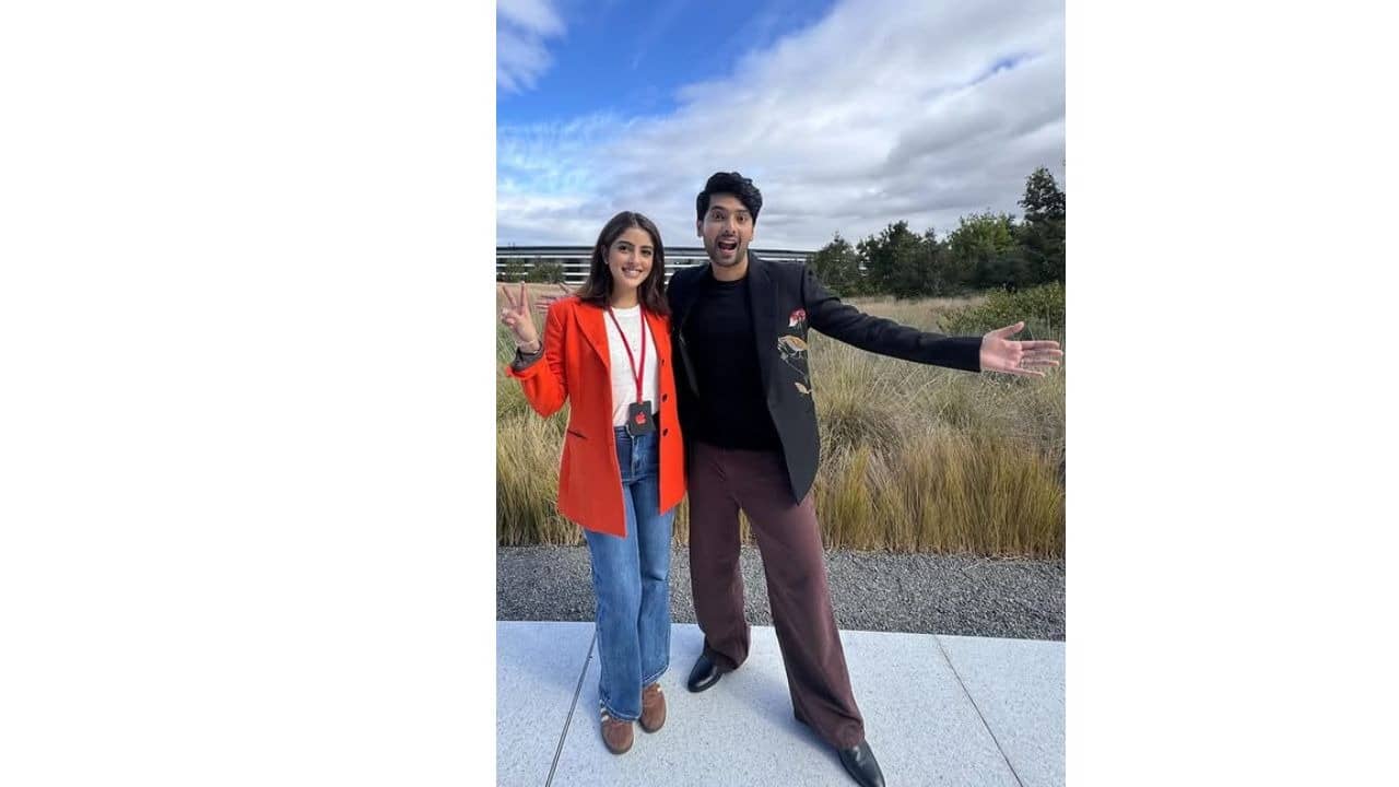 Description of the pic