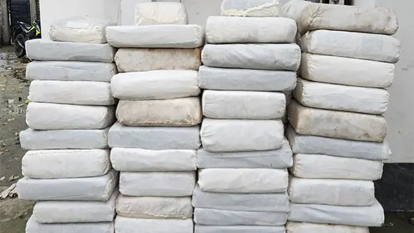 UP News: नोएडा में एक किलोग्राम से अधिक गांजा बरामद NCB seizes 934 kg of Ganja in Guwahati