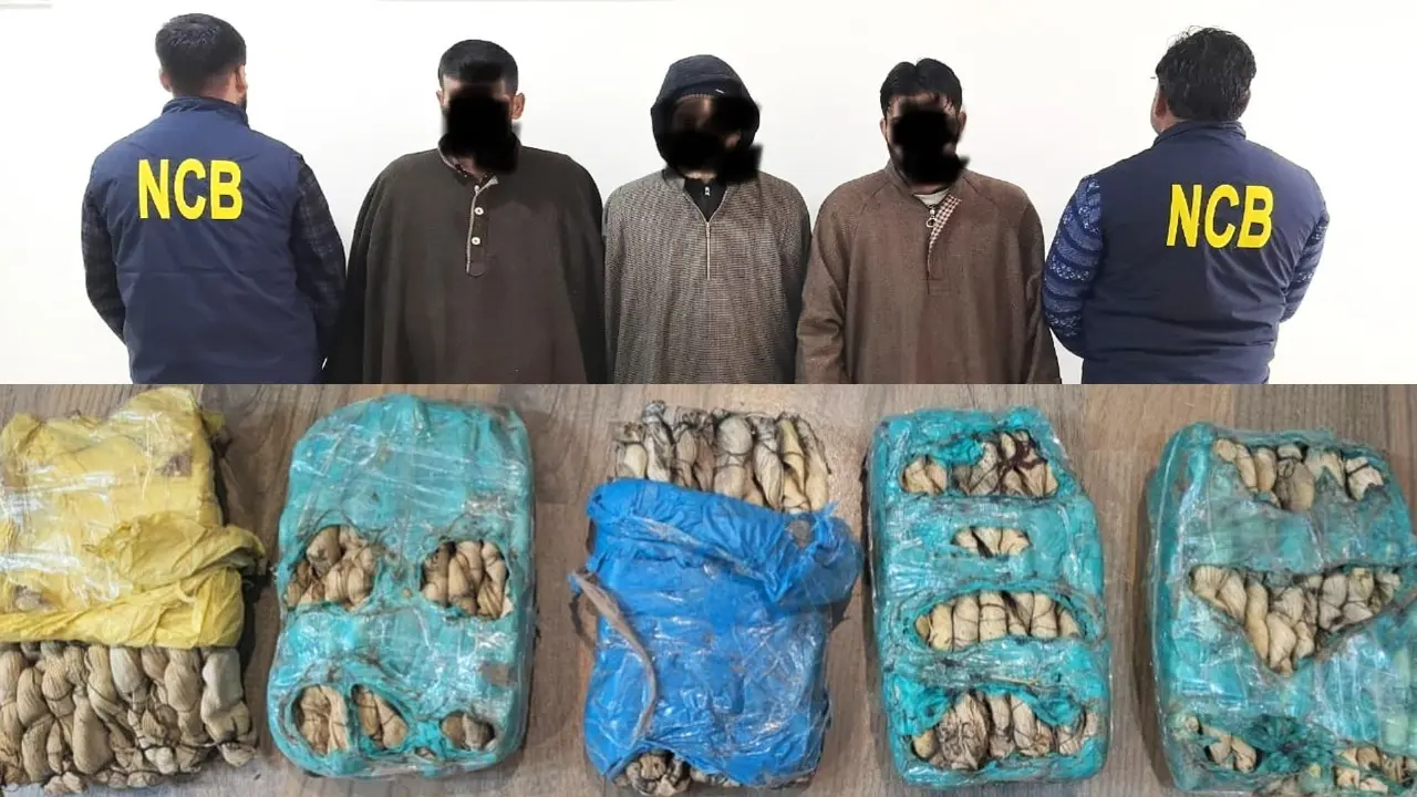 NCB Srinagar Dismantles Major Drug Supply Module in J&K, 2.730 Kg Charas Seized, Three Arrested NCB Srinagar Dismantles Major Drug Supply Module in J&K, 2.730 Kg Charas Seized, Three Arrested