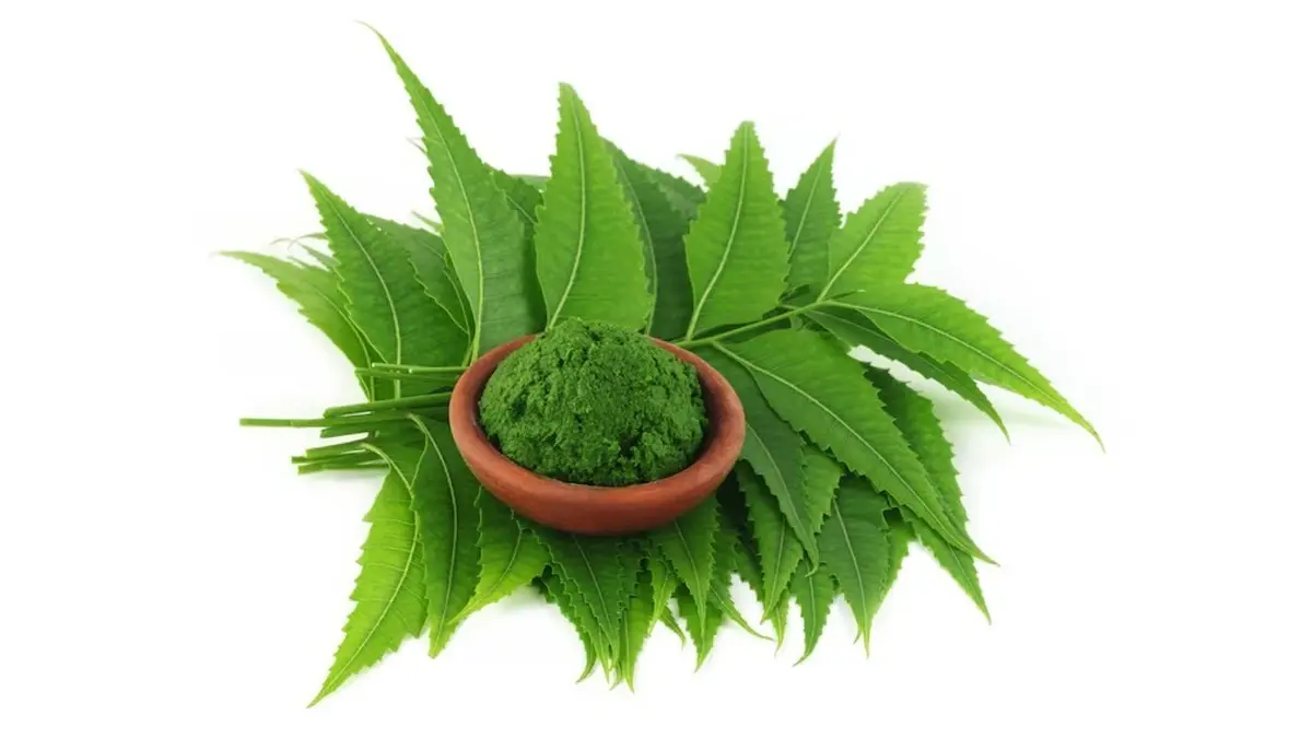 Neem Leaf Benefit
