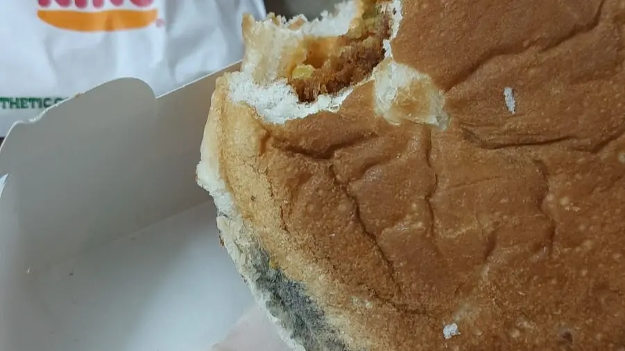 'New Flavour': Zomato Told Customer After Delivering Mouldy Food From Burger King 'New Flavour': Zomato Told Customer After Delivering Mouldy Food From Burger King