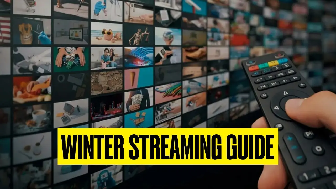 Hindi Web Series Releasing Before 2024 Ends: Criminal Justice 4, Aashram 4, Bandish Bandits 2 & More New Hindi Web Series