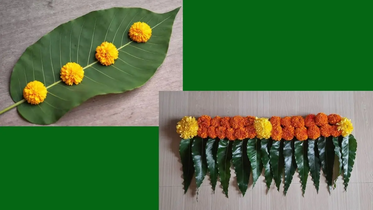 New Year 2026 Toran: नए साल के पहले दिन घर के मुख्य द्वार पर लगाएं इस पत्ते का तोरण, घर में आएगी सुख-शांति New Year 2026 Toran