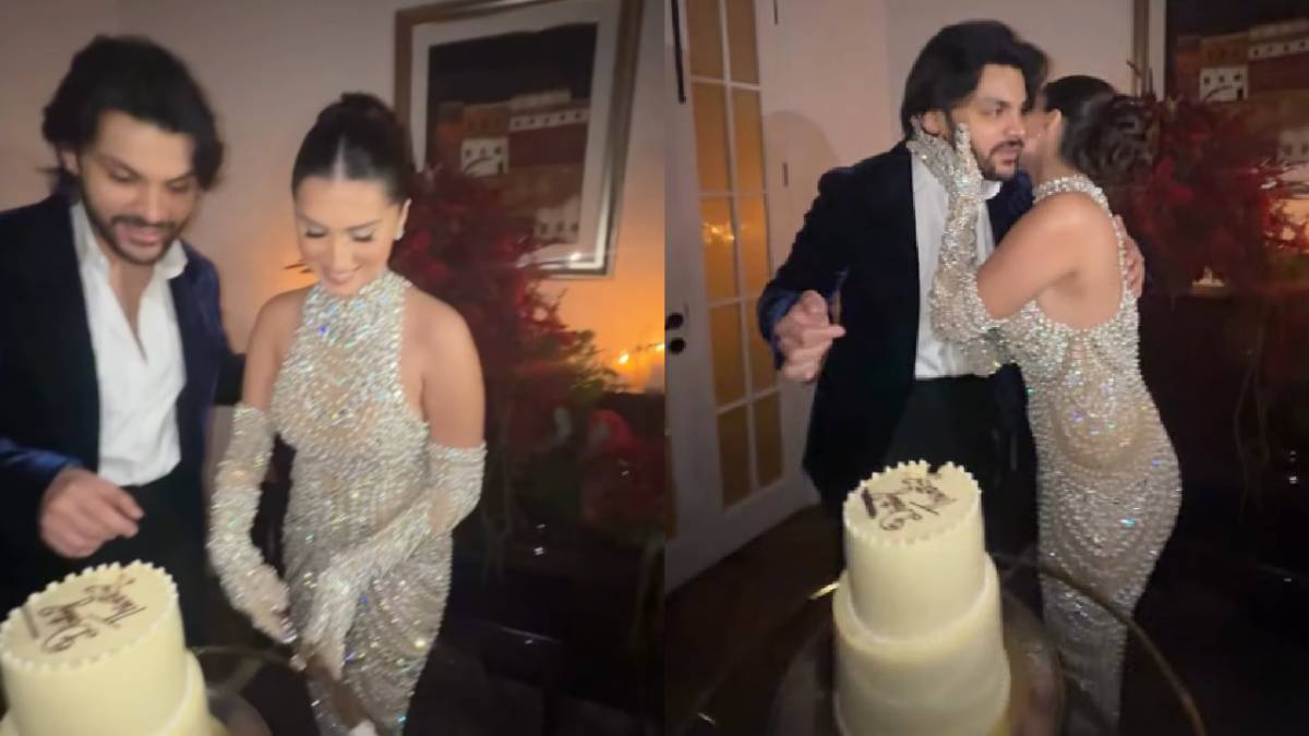 Description of the pic