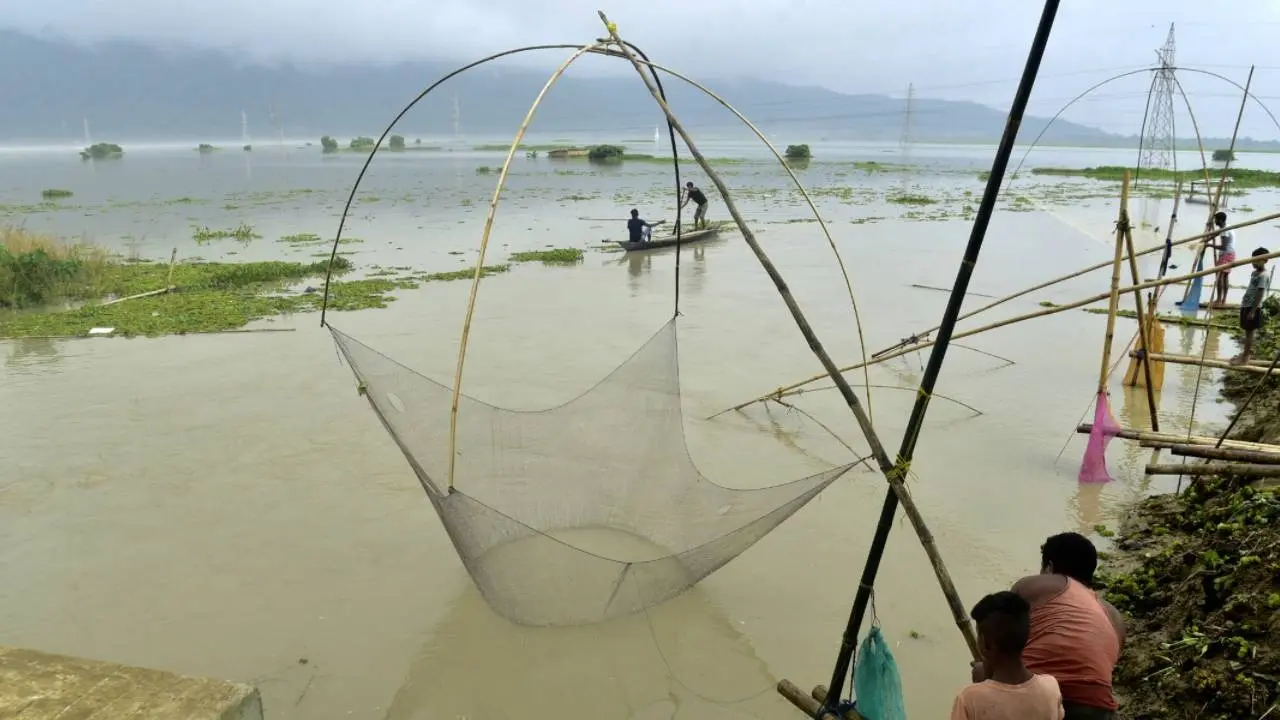 Assam Flood situation