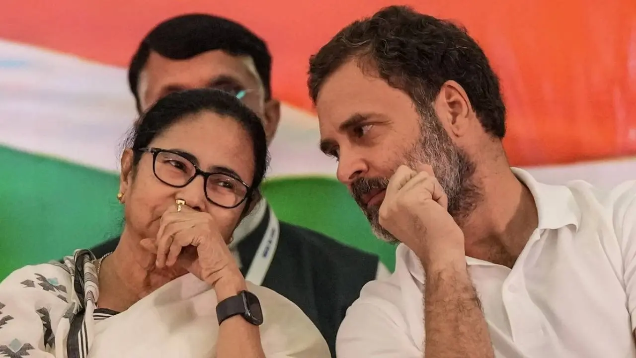 INDI Alliance Bye Election Results