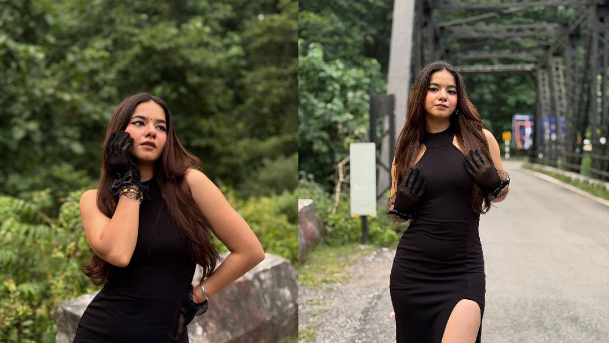 Description of the pic