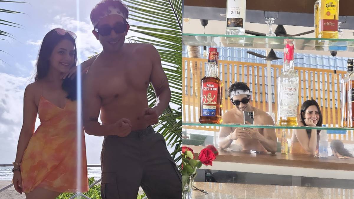 Description of the pic