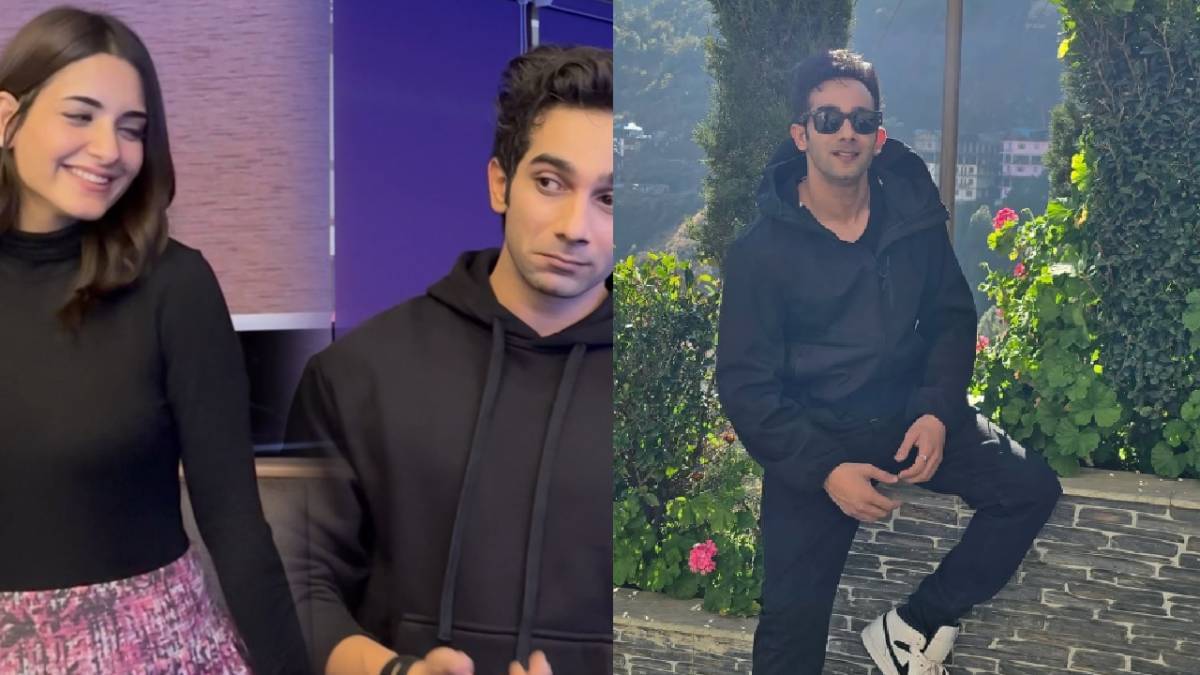 Description of the pic