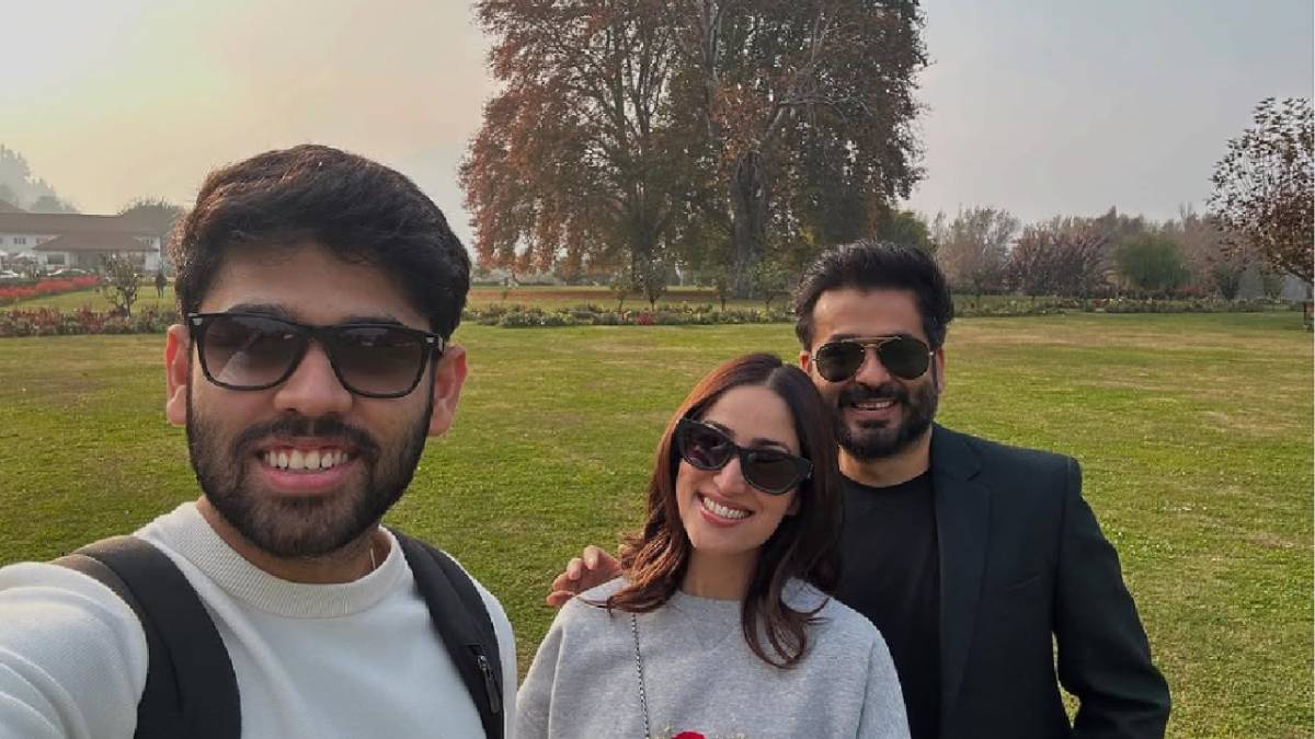 Description of the pic