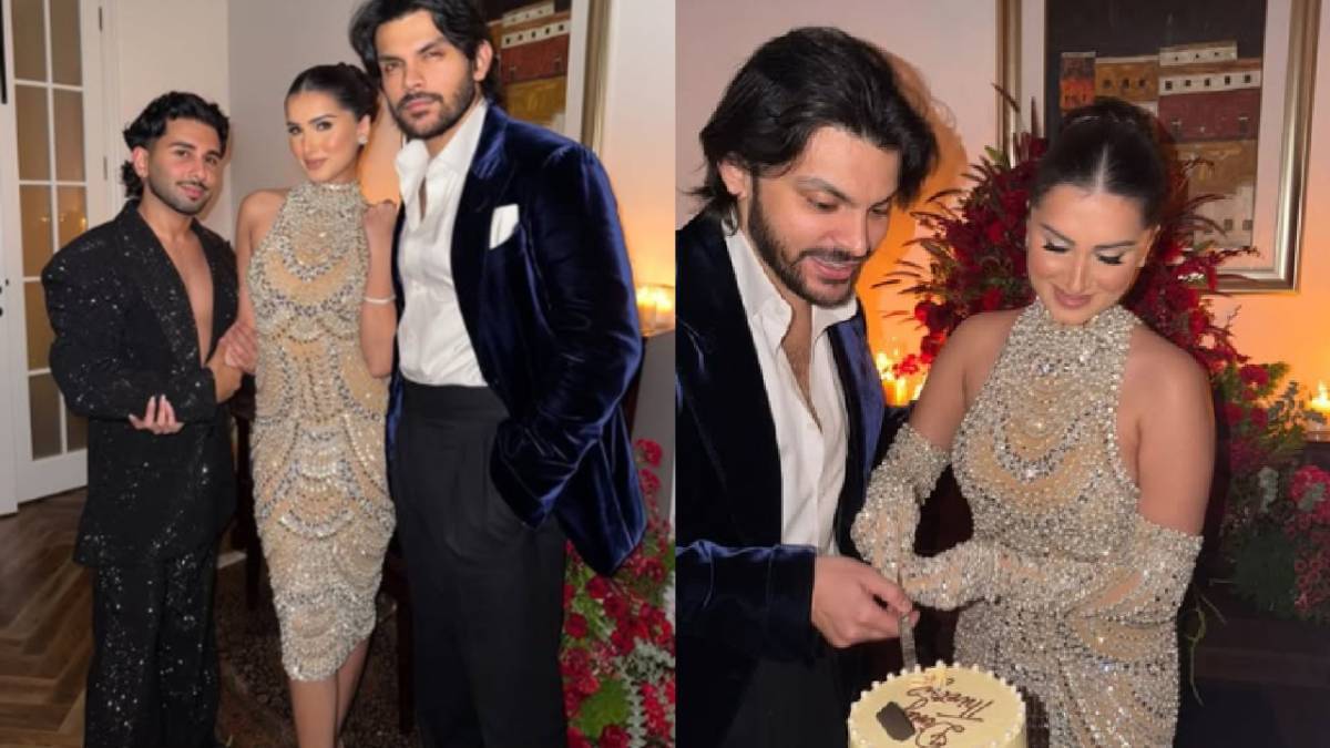 Description of the pic