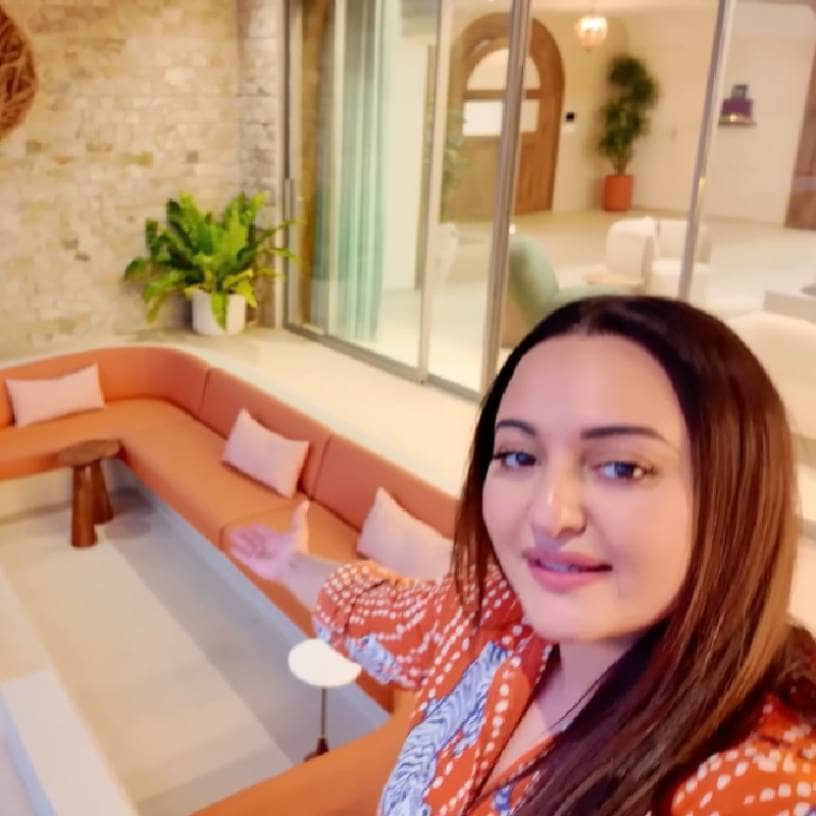 Description of the pic