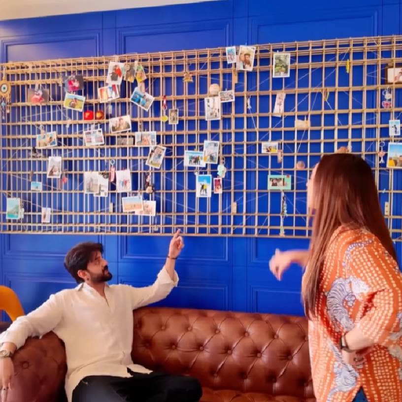 Description of the pic