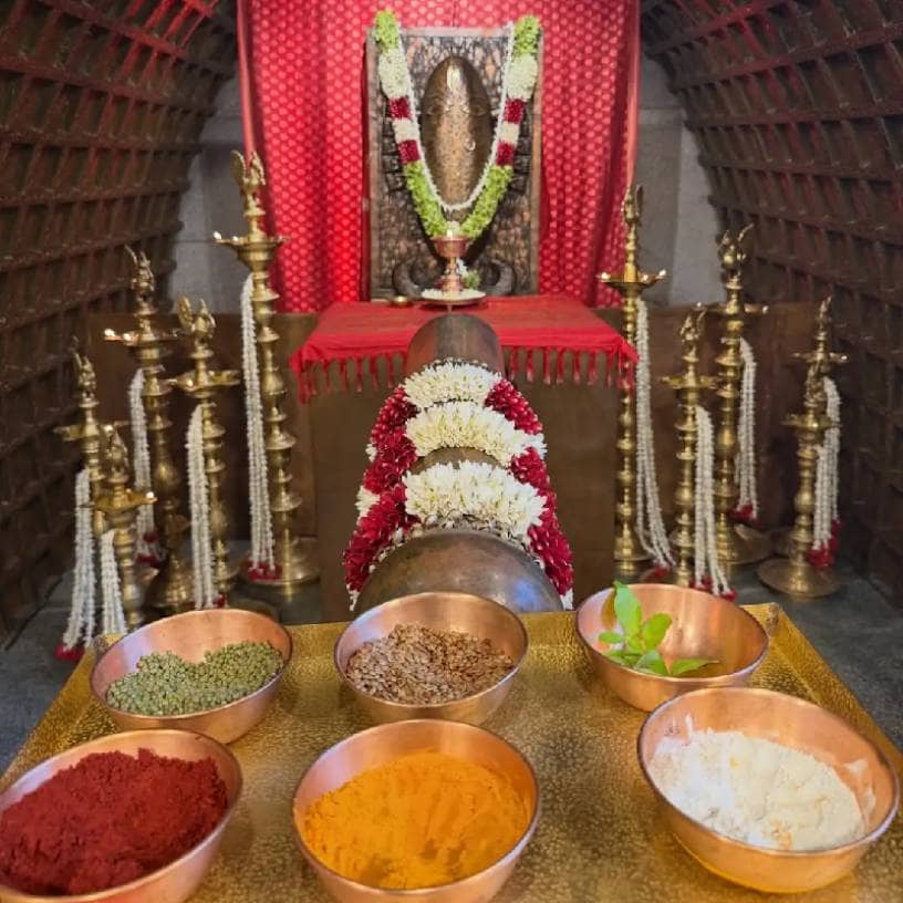 Description of the pic