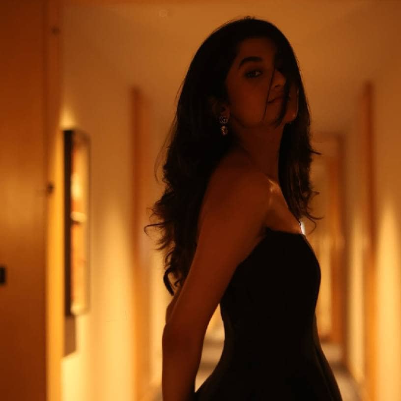 Description of the pic