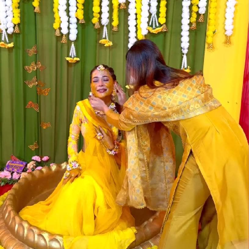 Description of the pic