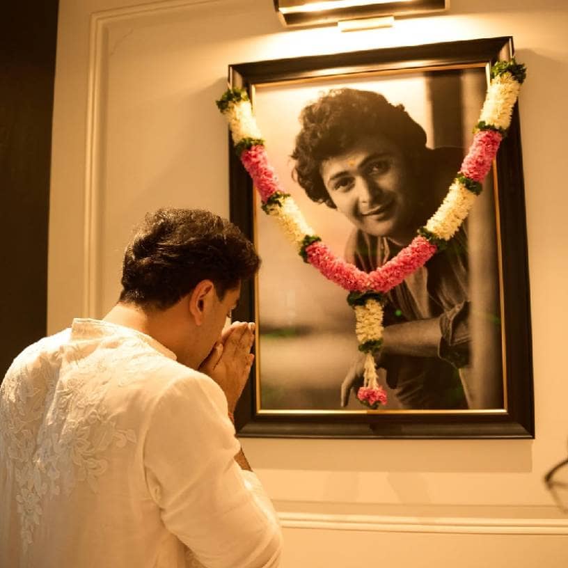 Description of the pic